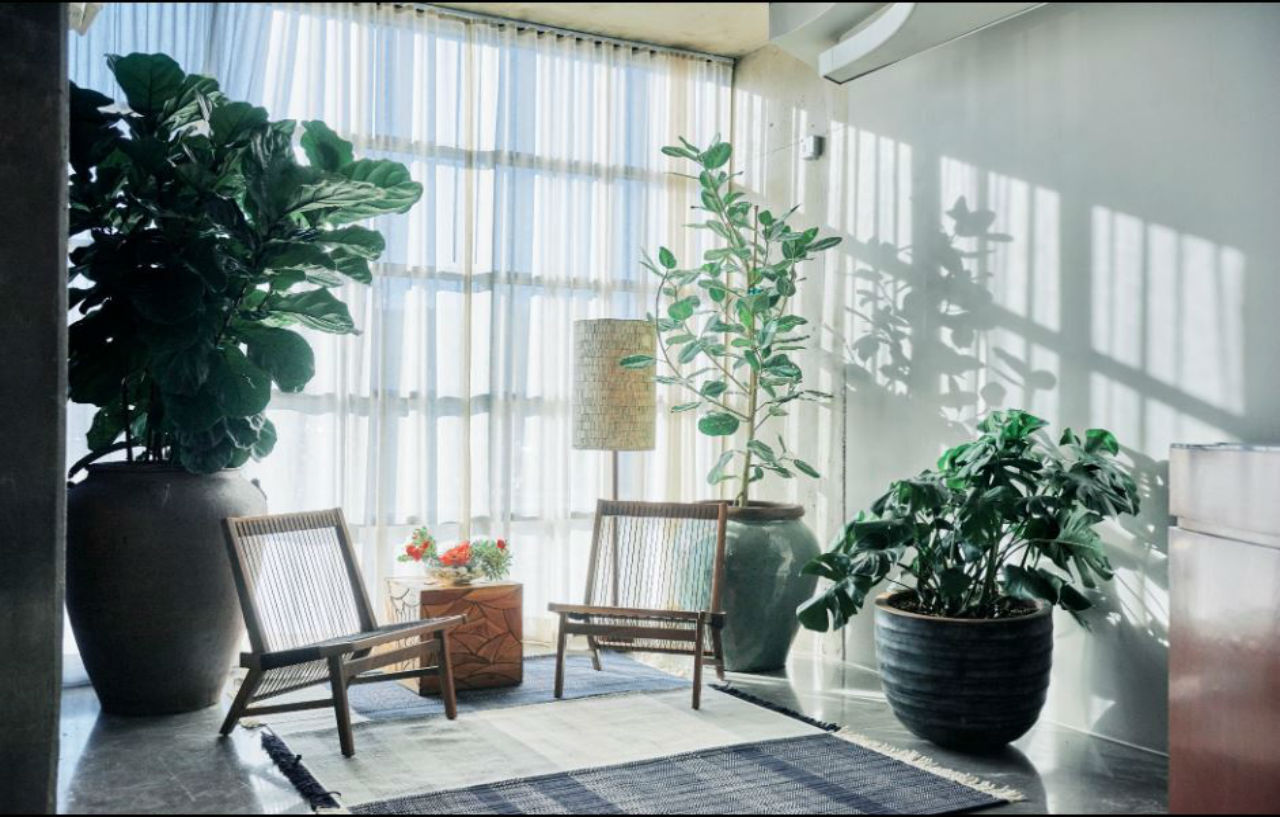 ไนโล ดัลลัส พลาโน โฮเต็ล แทเพสทรี คอลเลคชั่น บาย ฮิลตัน Hotel ภายนอก รูปภาพ
